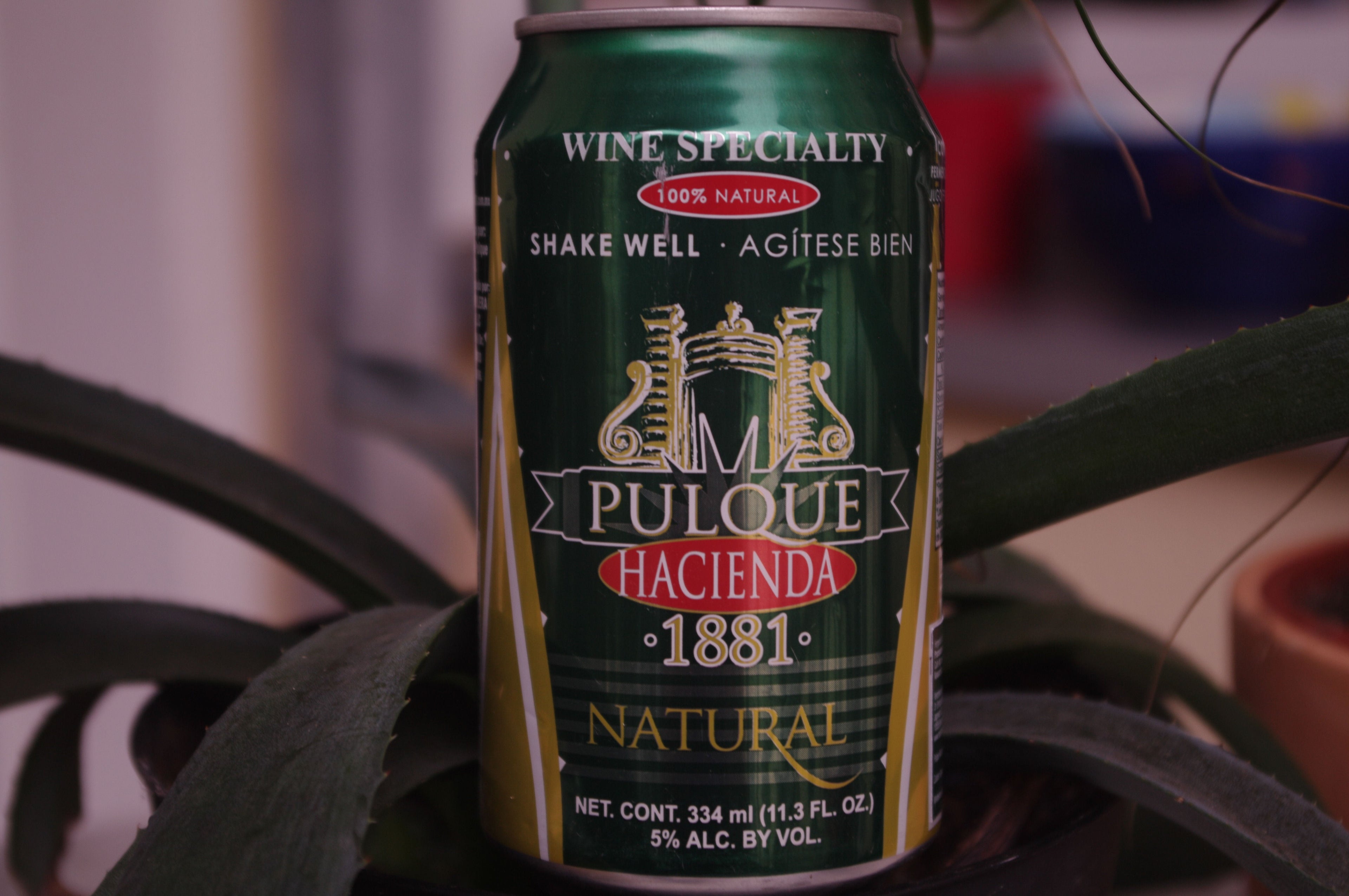 Pulque